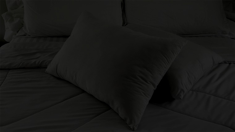 heat treatment of bed bugs