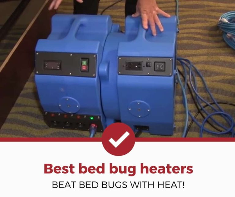 Bed Bugs Infestation—Rent Bed Bugs Heater To Get Rid Of Bugs - Kill Bed ...