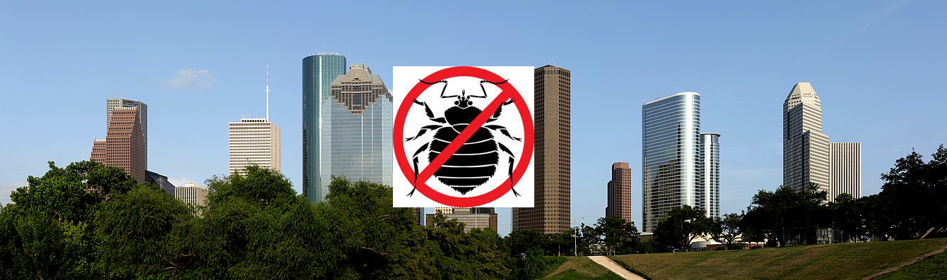 Bed Bugs in Houston- What Are They And How to Get Rid of Them - Kill ...